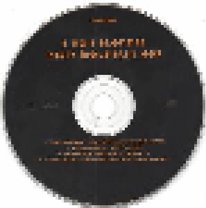 4 Non Blondes + Helmet & David Yow: Misty Mountain Hop (Split-Single-CD) - Bild 6