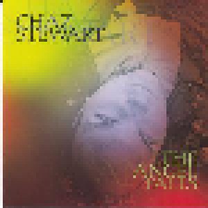 Cover - Chaz Stewart: Angel Falls, The