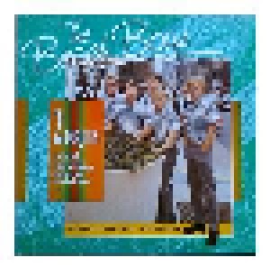 The Beach Boys: The Beach Boys (2-LP) - Bild 1