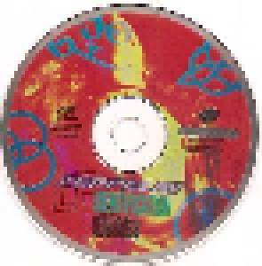 Led Zeppelin: Identification Required (CD) - Bild 3