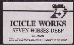 The Icicle Works: Seven Horses Deep (VHS) - Bild 4
