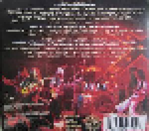 Lynyrd Skynyrd: Southern Surroundings (CD + DVD + DVD-Audio) - Bild 2