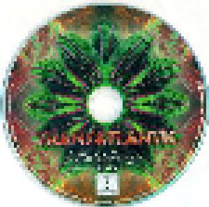 Transatlantic: Kaleidoscope (2-CD + 2-DVD) - Bild 7