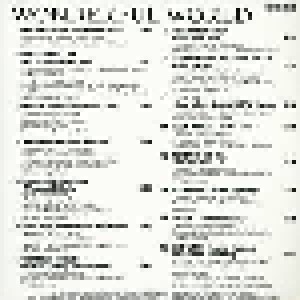 Wonderful World - Hits Die Werben (CD) - Bild 2