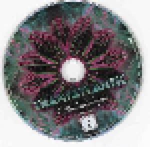 Transatlantic: Kaleidoscope (2-CD + DVD) - Bild 5