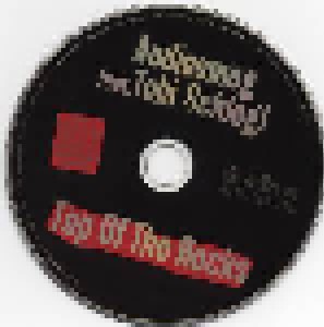 Audiosmog Feat. Tobi Schlegl: Top Of The Rocks (CD) - Bild 3