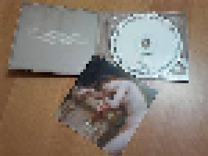 Burzum: Fallen (CD-R) - Bild 3