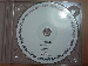 Burzum: Fallen (CD-R) - Bild 4