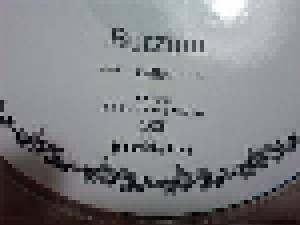 Burzum: Fallen (CD-R) - Bild 5