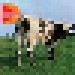 Pink Floyd: Atom Heart Mother - Cover