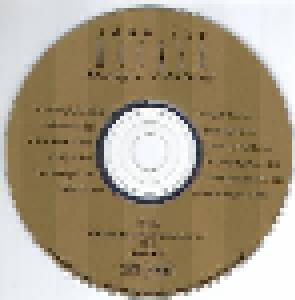 John Lee Hooker: Boogie Chillun (CD) - Bild 4