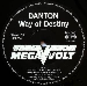 Danton: Way Of Destiny (LP) - Bild 3