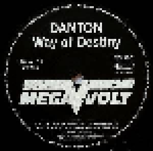 Danton: Way Of Destiny (LP) - Bild 4