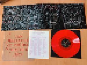 Current 93: I Am The Last Of All The Field That Fell (2-LP) - Bild 2