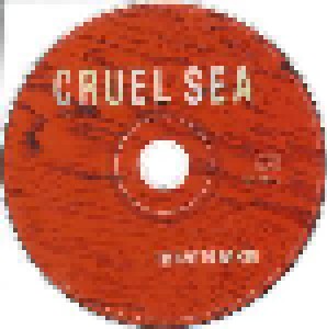 The Cruel Sea: This Is Not The Way Home (CD) - Bild 3