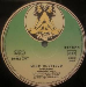 Mike Oldfield: Ommadawn (LP) - Bild 4
