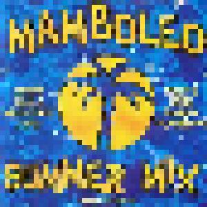 Mamboleo Summer Mix - Cover