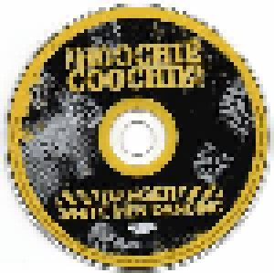 The Hoochie Coochie Men Feat. Jon Lord: Danger White Men Dancing (CD + DVD) - Bild 3