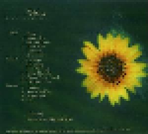 Eric Johnson: Bloom (CD) - Bild 3