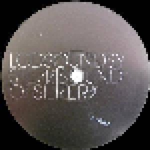 LCD Soundsystem: Sound Of Silver (2-LP) - Bild 3