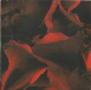 Nusrat Fateh Ali Khan & Michael Brook: Night Song (CD) - Bild 6