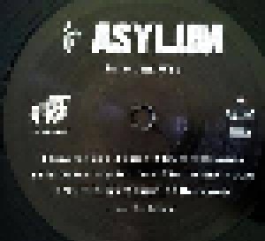 Asylum: Into The Web (LP) - Bild 3