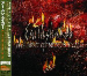 Earthshaker: The Best Of Nexus Years (CD) - Bild 2