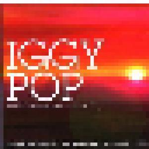 Iggy Pop: Passenger Live In U.S.A, The - Cover