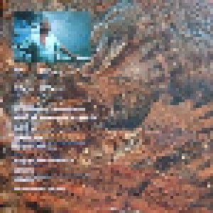 Mike Oldfield: Man On The Rocks (2-LP) - Bild 3
