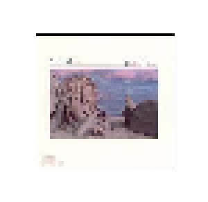Al Di Meola: Cielo E Terra (CD) - Bild 1