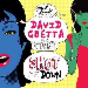 Cover - David Guetta Feat. Skylar Grey: Shot Me Down