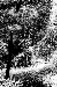 Forest Grave: To Bear The Marks Of Time / Chronicles In The Bark (Demo-Tape) - Bild 1