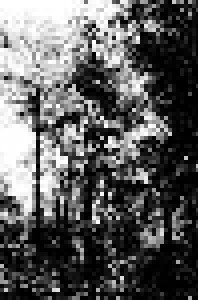 Forest Grave: By The Glowing Lights Of Old (Demo-Tape) - Bild 1
