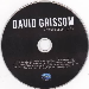 David Grissom: How It Feels To Fly (CD) - Bild 3