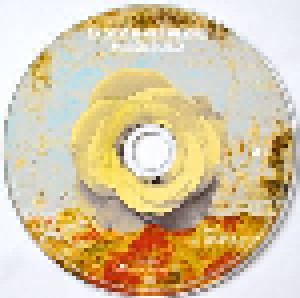 Zucchero: Una Rosa Blanca (2-CD + DVD) - Bild 4