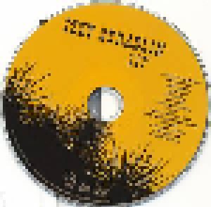 Izzy Stradlin: 117° (CD) - Bild 3
