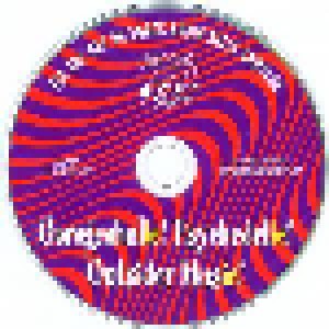 Garageaholic! Psychedelic! Outsider Music! (The Arf Arf 30-Track Audio Relic Sampler) (CD) - Bild 3