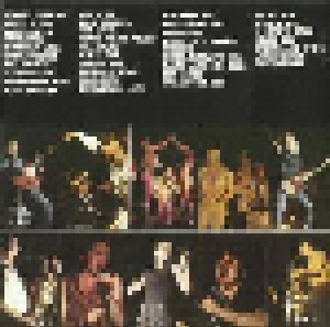Sha Na Na: The Golden Age Of Rock 'n' Roll (CD) - Bild 4