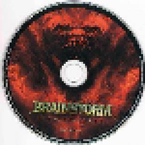 Brainstorm: Firesoul (2-CD) - Bild 8