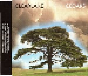 Clearlake: Cedars (Promo-CD) - Bild 1