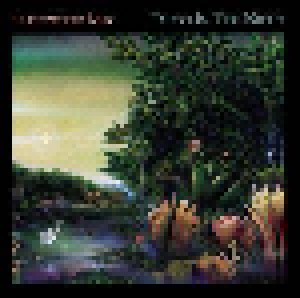 Fleetwood Mac: Tango In The Night (LP) - Bild 1