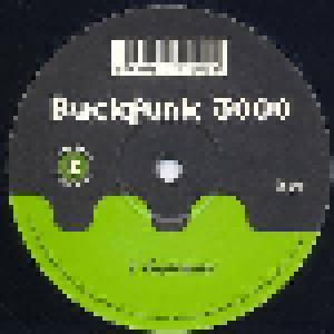 Cover - Buckfunk 3000: Systematic